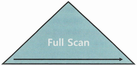 FullScan