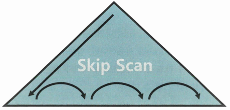 SkipScan
